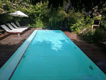 View of swimming pool at yard