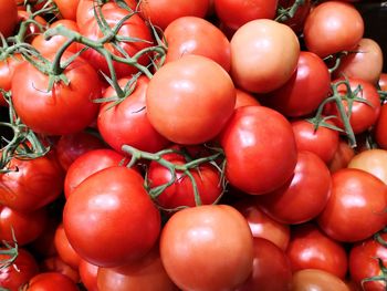 Full frame shot of tomatoes for sale