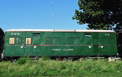 Trees on grassy field