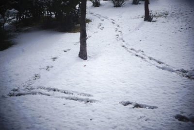 High angle view of footprints on snow covered field