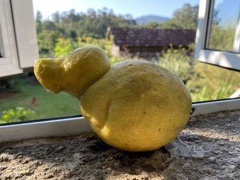 Close-up of lemon on table