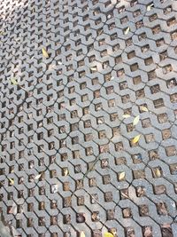 Full frame shot of paving stone on footpath