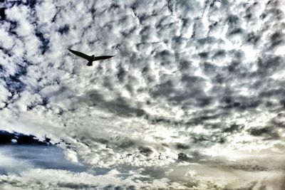 Low angle view of airplane flying in sky