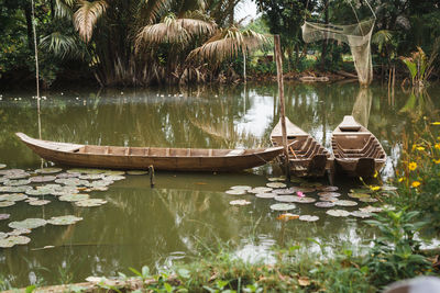 Scenic view of lake with palm trees