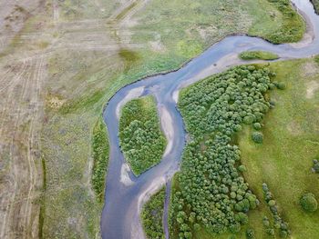 High angle view of plants on land