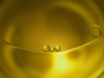 Close-up of water drops on leaf