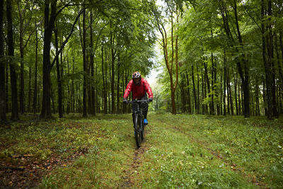 Full length rear view of man walking in forest