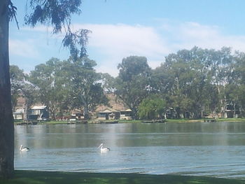 View of built structure in water