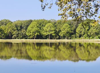 Scenic view of lake by trees against clear sky