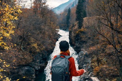 Rear view of man standing in forest