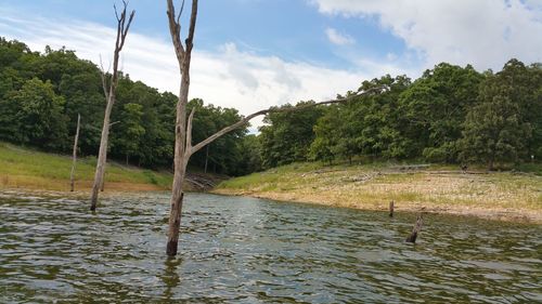 River with trees in background