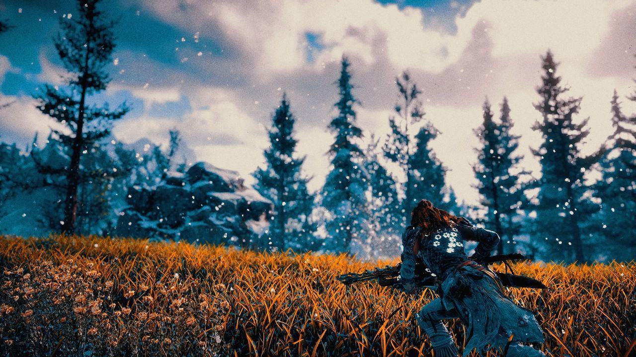 PLANTS ON FIELD AGAINST SKY