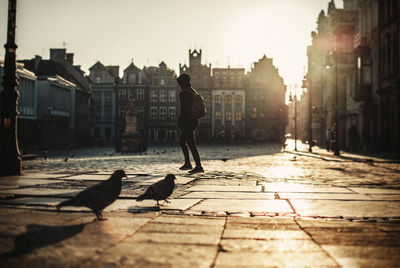 Full length of person by birds on street in city