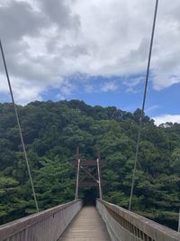 View of bridge in forest against sky