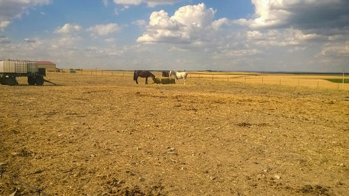 Scenic view of field against cloudy sky