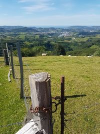 Scenic view of field against sky