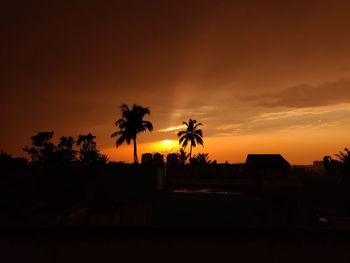 Silhouette palm trees against orange sky