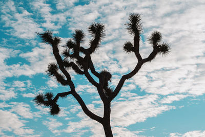 Low angle view of tree against sky