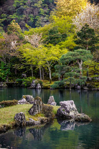 Scenic view of lake in forest