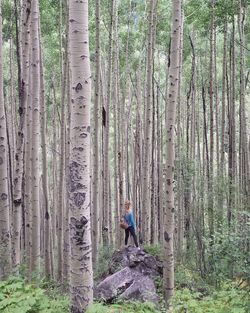 Woman standing amidst trees in forest