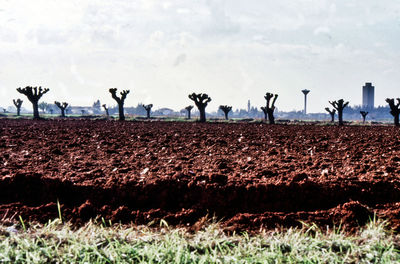 Group of people on field against sky