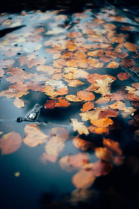 High angle view of wet street