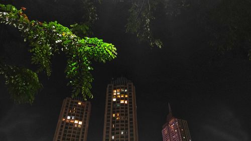 Low angle view of illuminated trees and buildings at night