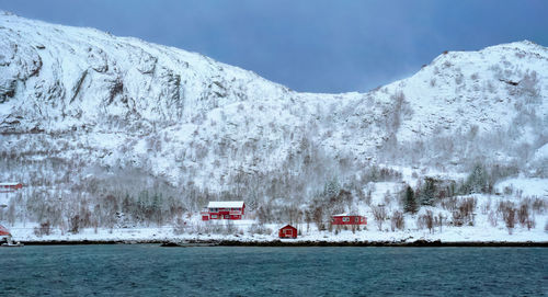 Red rorbu houses in norway in winter