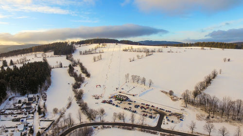 Trees on landscape against sky