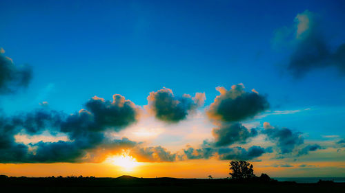 Low angle view of silhouette trees against sky during sunset