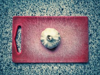 High angle view of seashells on table