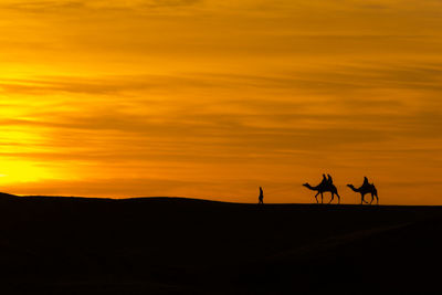 Silhouette people riding camels on field against orange sky