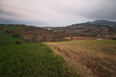 Scenic view of farm against sky