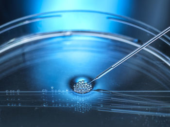 Nuclear transfer being carried out on several embryonic stem cells