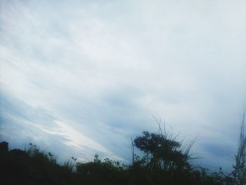 Low angle view of silhouette trees against sky