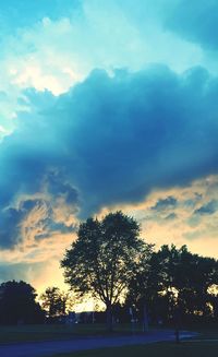 Silhouette trees against sky during sunset