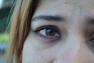 Cropped image of woman eye