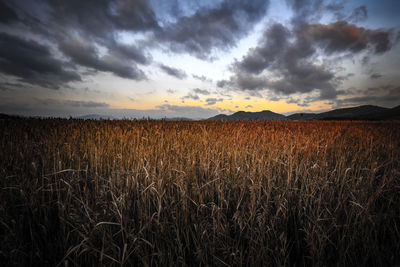 Scenic view of landscape against dramatic sky