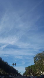 Low angle view of trees against blue sky