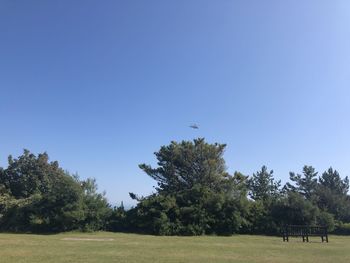 Scenic view of trees on field against blue sky