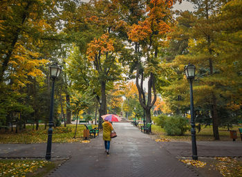 Rear view of person walking on street during autumn