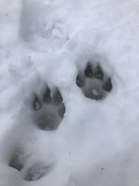 High angle view of snow