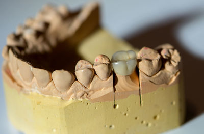 Close up of dentures