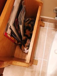 High angle view of cat relaxing at home