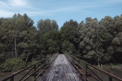 Footbridge amidst trees in forest against sky