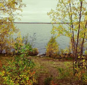 Scenic view of lake against sky during autumn