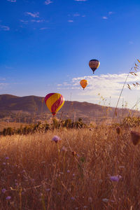 hot air balloon