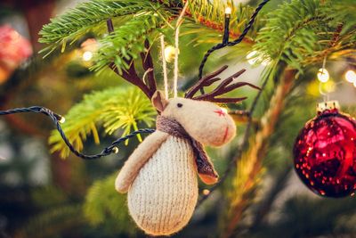 Close-up of christmas decorations hanging on tree