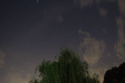 Low angle view of trees against sky at night