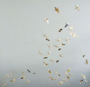 High angle view of paper birds on table